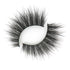 Woman of Worth (WOW!) Lash & Glue Bundle